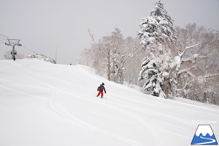 札幌国際スキー場 Welcome back POWDER SNOW !! ～パウダースノー復活～